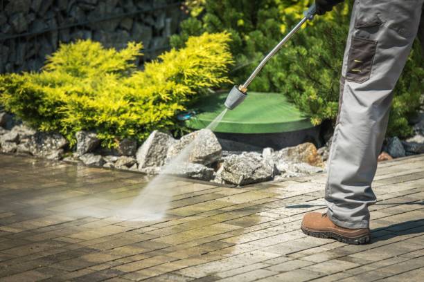 Animal Enclosure Cleaning in Festus, MO